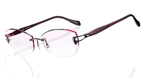 ポラリスメガネ画像